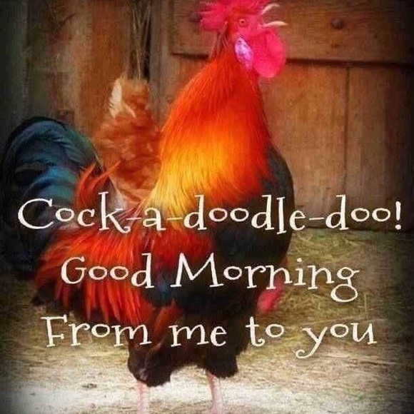 Meet your Posher, Lawana - Picture 8 of 8